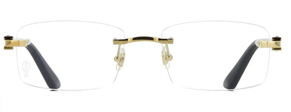 CARTIER CT0287O 001