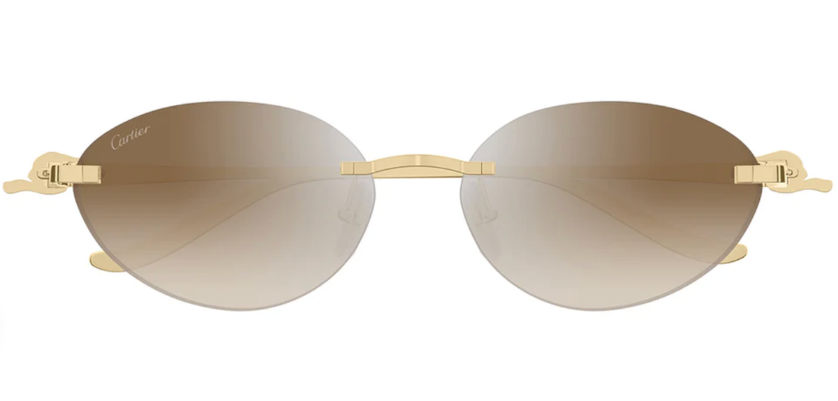 CARTIER CT0504S 003