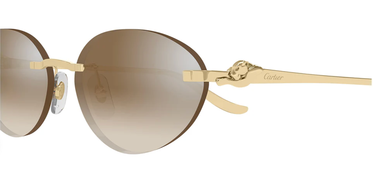 CARTIER CT0504S 003