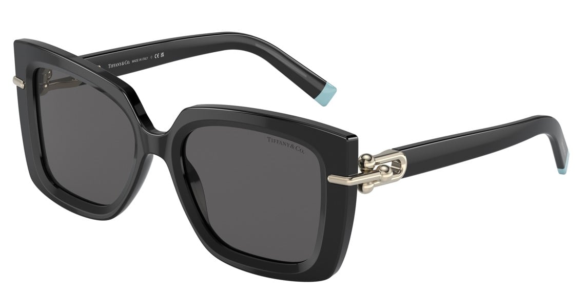 Tiffany & Co. TF4199 8001S4