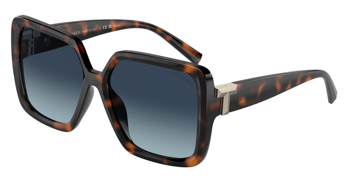 Tiffany & Co. TF4206U 80154U POLARIZED