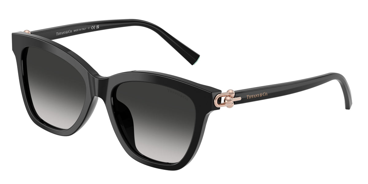 Tiffany & Co. TF4241D 80013C