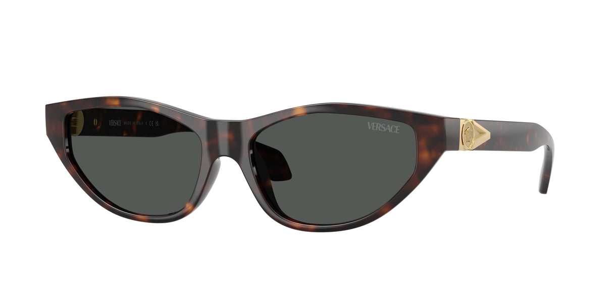 VERSACE VE4491U 108/87