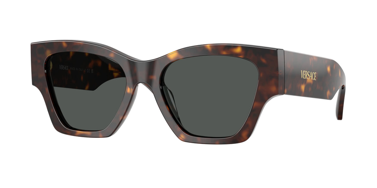 VERSACE VE4492U 108/87