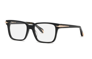 Roberto Cavalli RC019M 0700