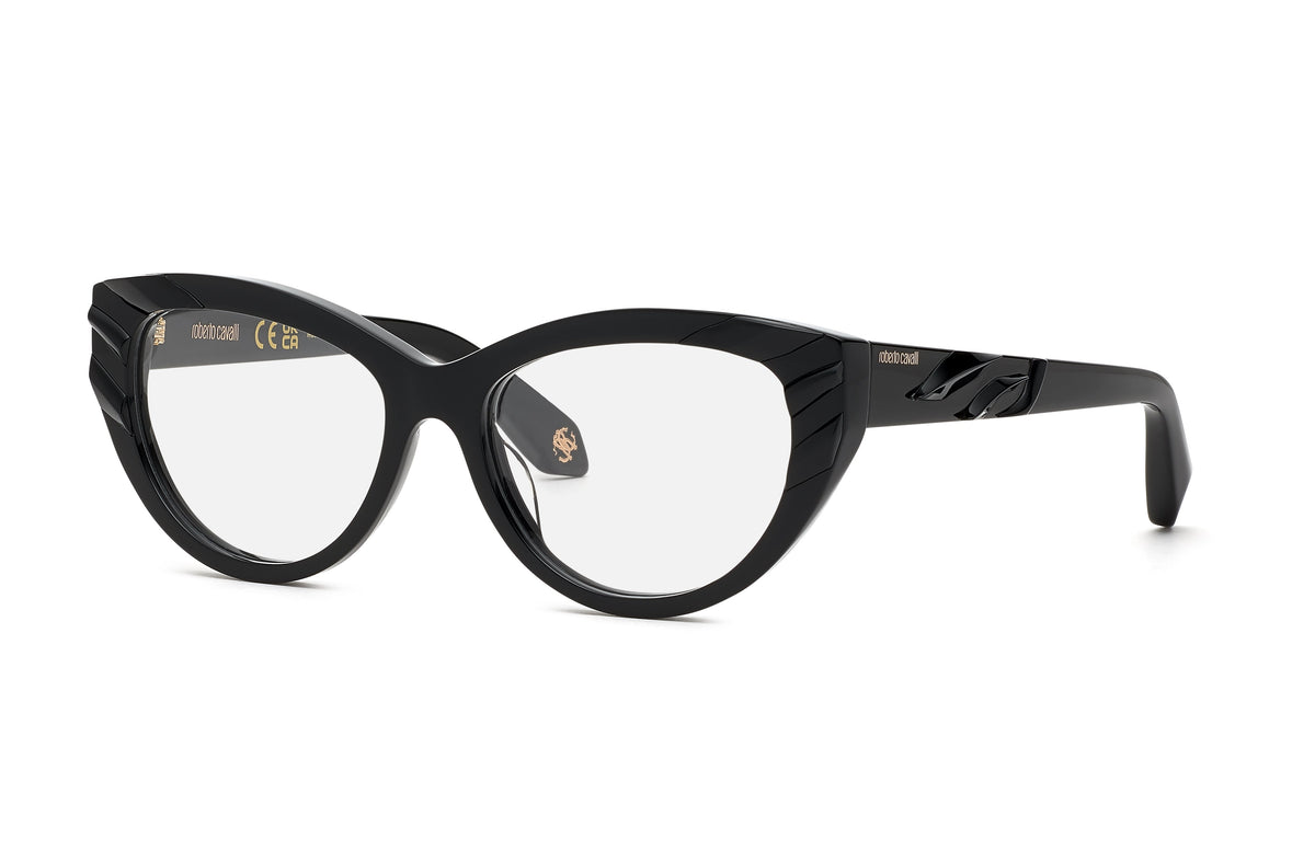 Roberto Cavalli RC024V 0700