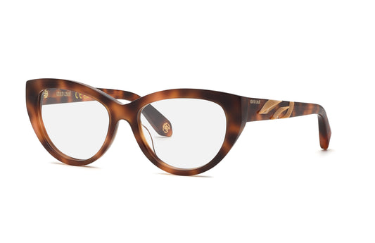 Roberto Cavalli RC024M 02BV