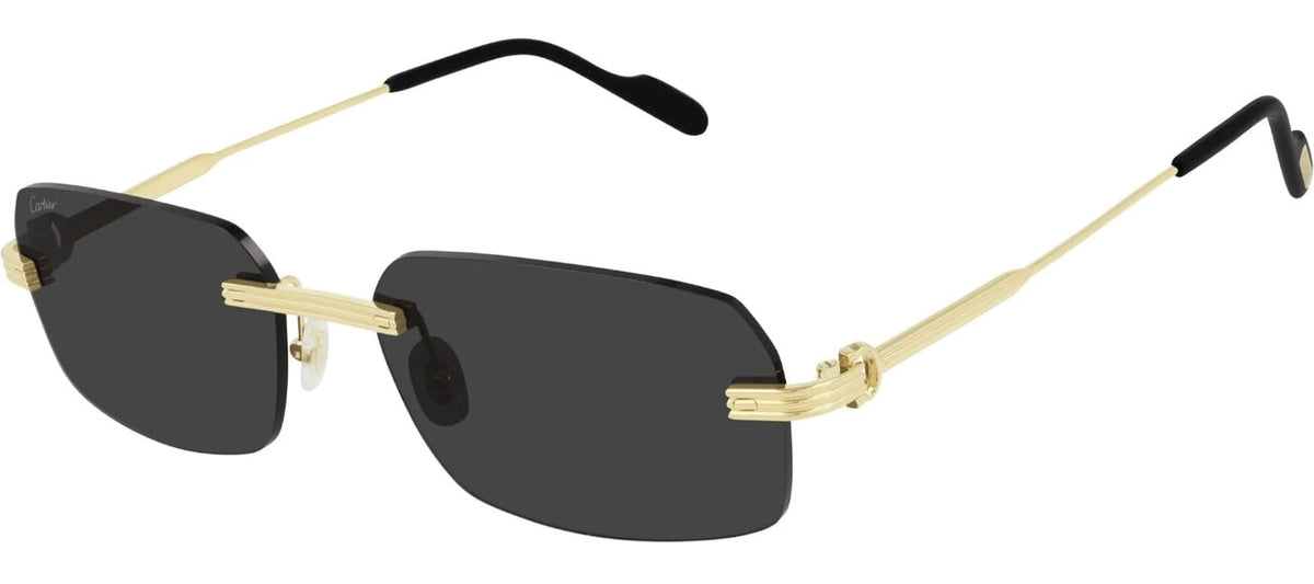 CARTIER CT0271S 001