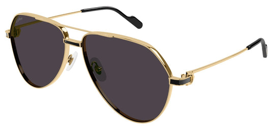 CARTIER CT0334S 001