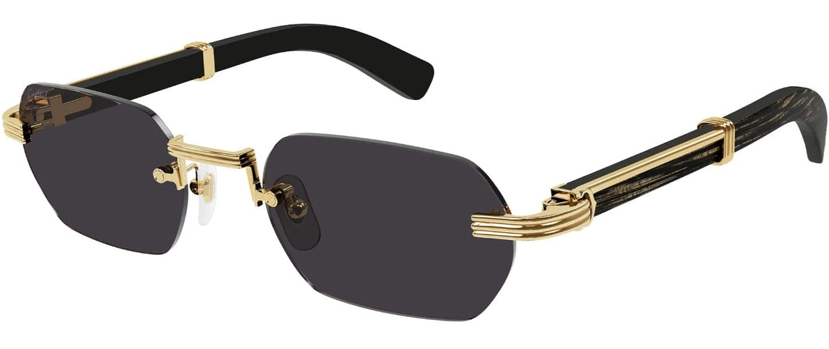 CARTIER CT0362S 001
