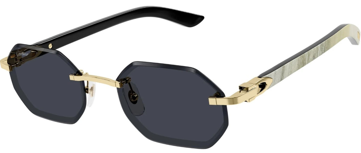 CARTIER CT0439S 002
