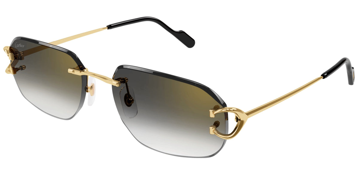 CARTIER CT0468S 001