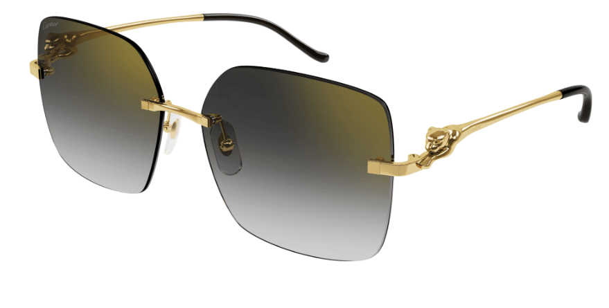 CARTIER CT0359S 001