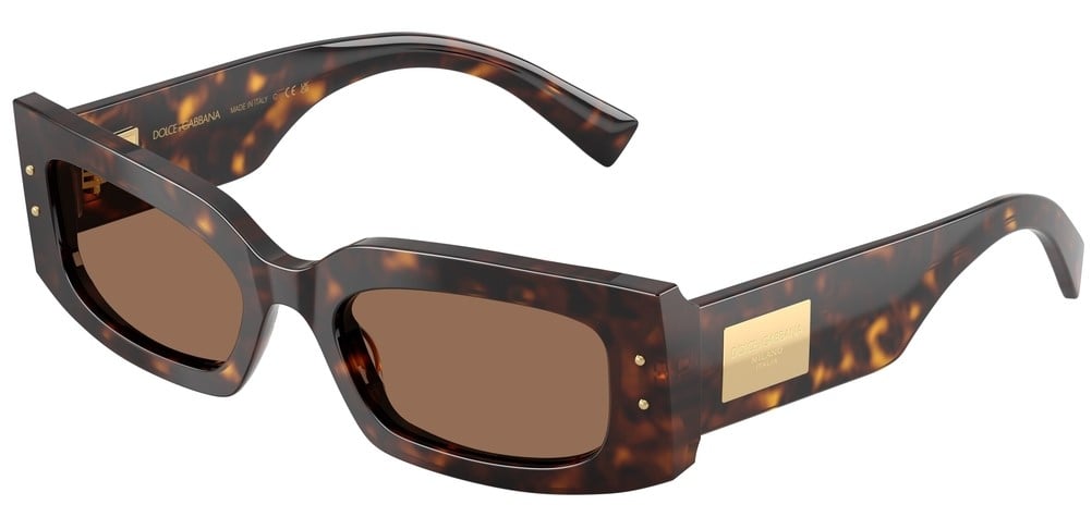 Dolce & Gabbana DG4479 502/73