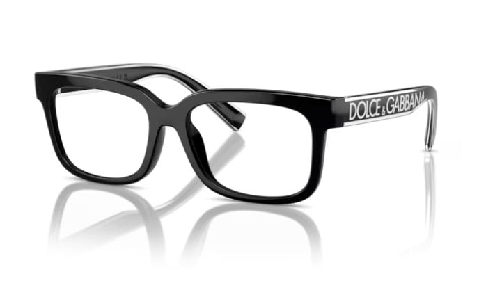 DOLCE & GABBANA DX 5002 501