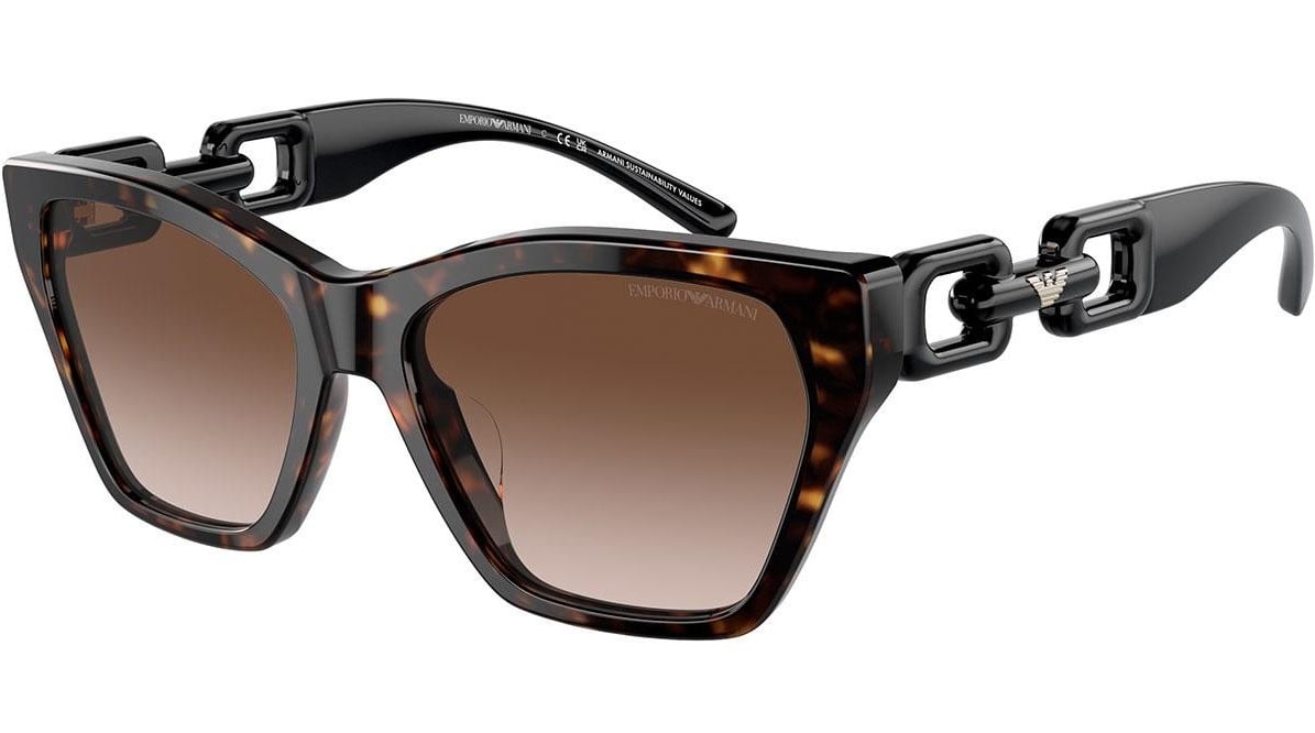EMPORIO ARMANI EA4203U 502613