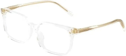DOLCE & GABBANA DX 3003 3133
