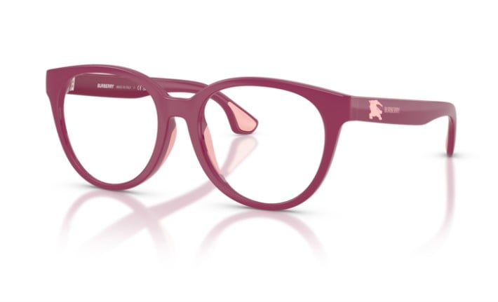BURBERRY JB 2019U 4134