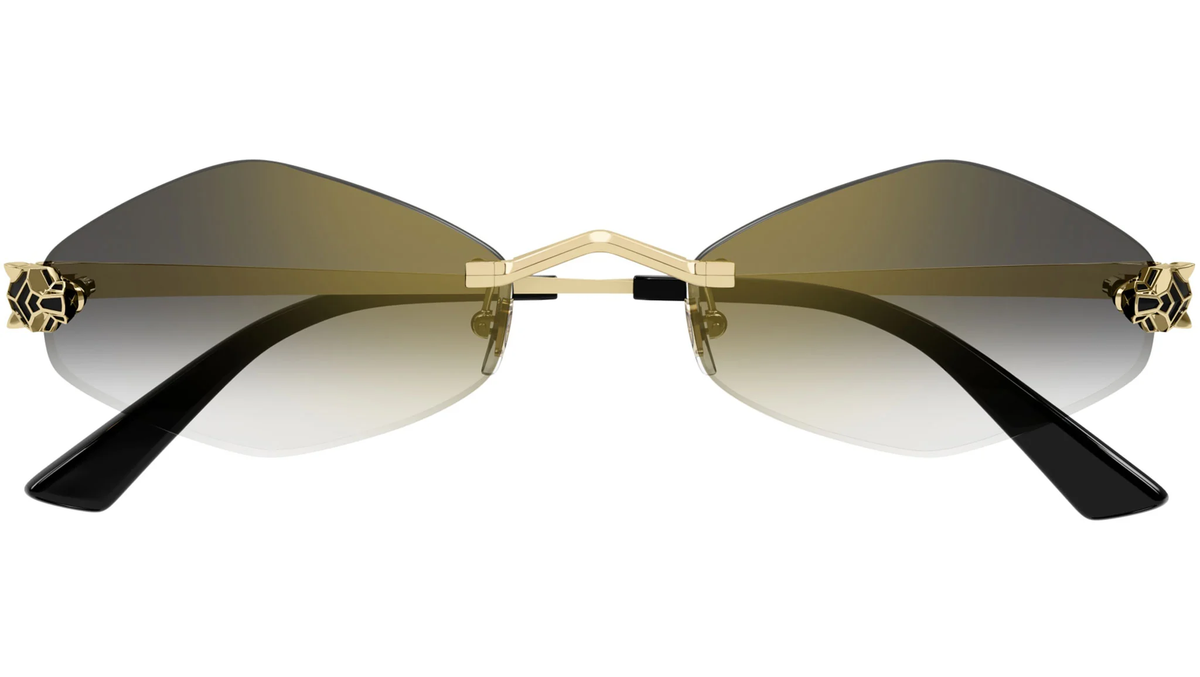 CARTIER CT0433S 001