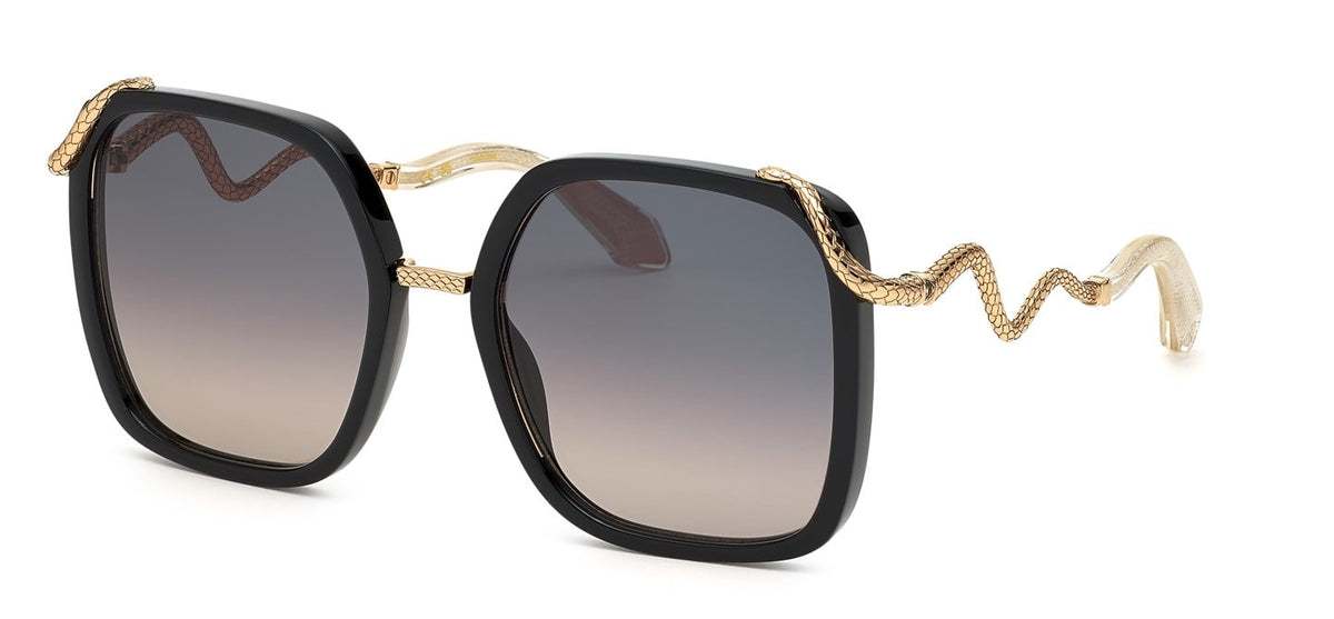 Roberto Cavalli RC003M 0700