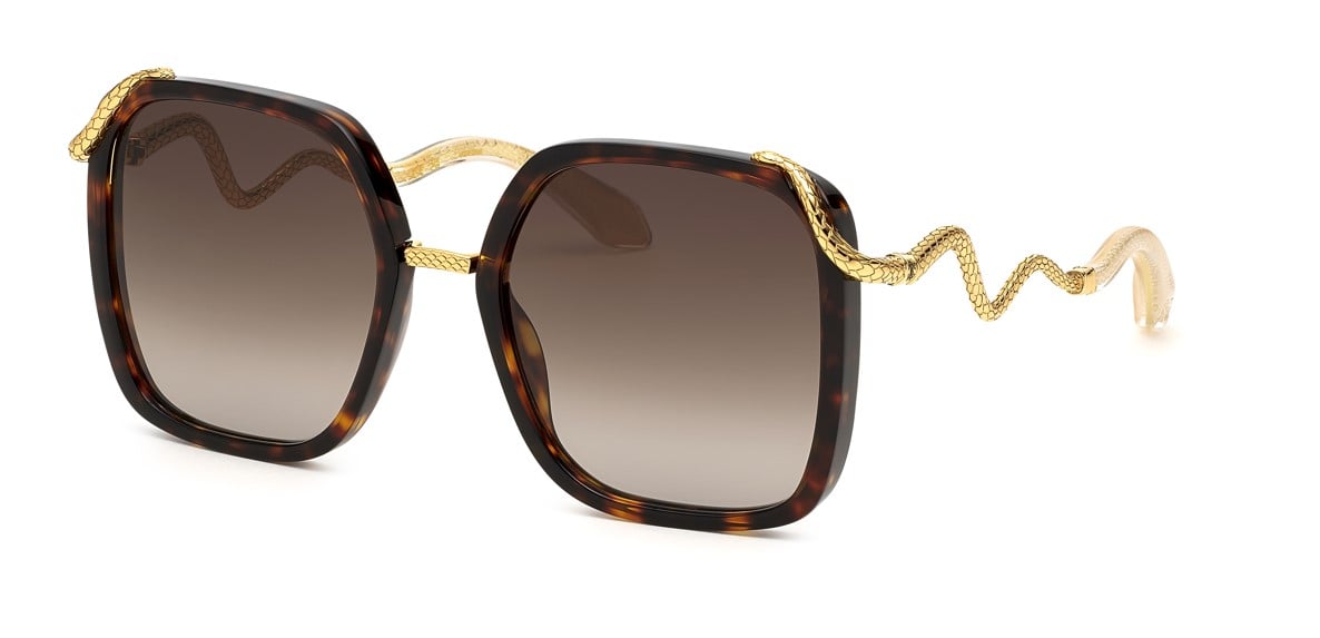 Roberto Cavalli RC003M 0743