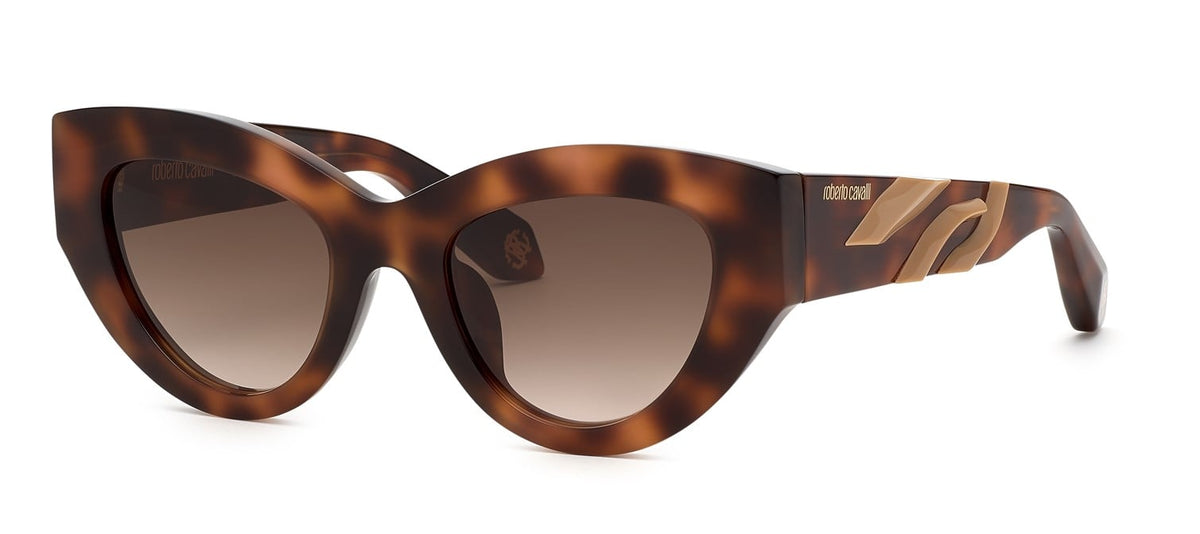 Roberto Cavalli RC009M 02BV