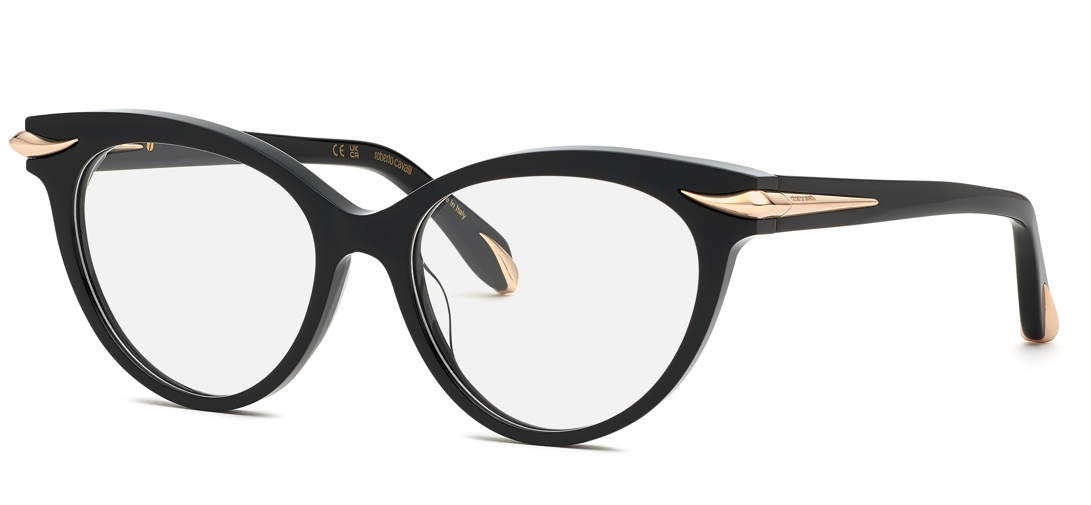 Roberto Cavalli RC018M 0700