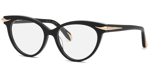 Roberto Cavalli RC018M 0700