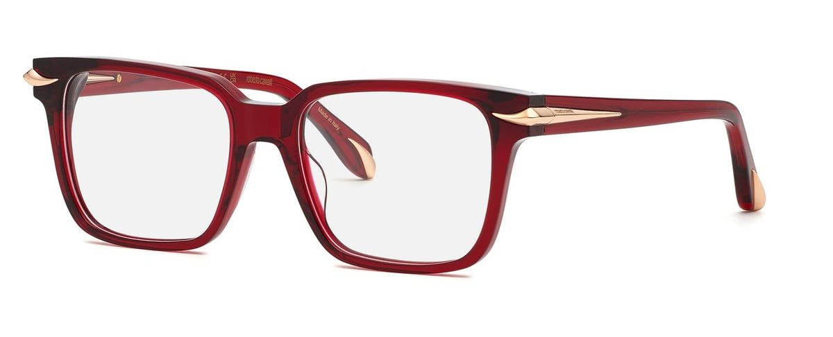 Roberto Cavalli RC019M 954Y