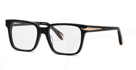 Roberto Cavalli RC019S 0700