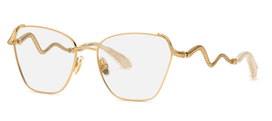 Roberto Cavalli RC021M 0300