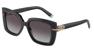 Tiffany & Co. TF4199 80013C