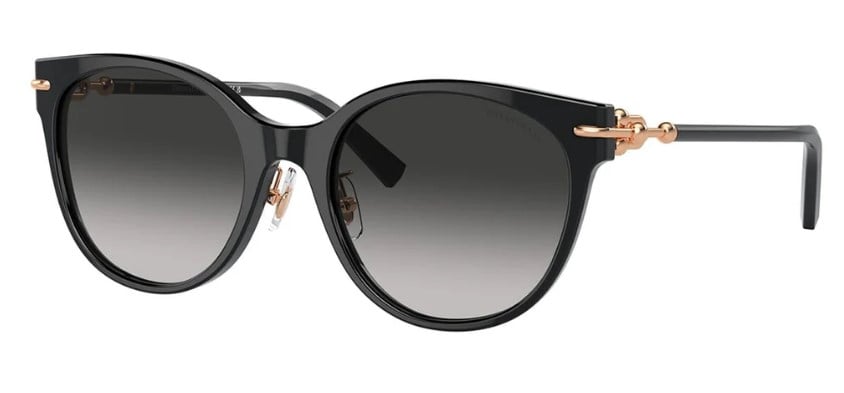 Tiffany & Co. TF4223D 80013C