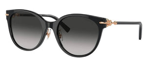 Tiffany & Co. TF4223D 80013C