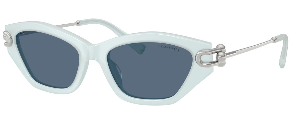 Tiffany & Co. TF4231U 843680